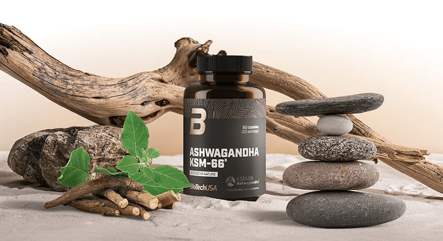 Ashwagandha KSM - 66® - 60 Kapseln - Beutejagd - Hol dir deine Beute -